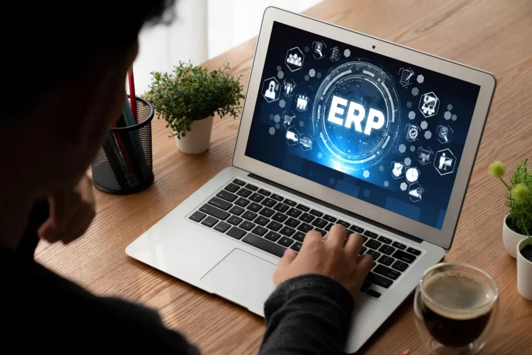 Custom ERP Software Development Company